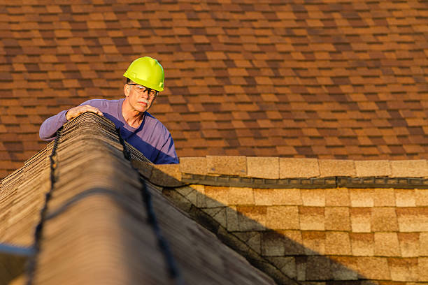 Best Roof Gutter Cleaning  in Lake Tapps, WA